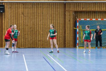 Bild 24 - Frauen HSG Krem/Muensterdorf - HG OKT 3 : Ergebnis: 33:21